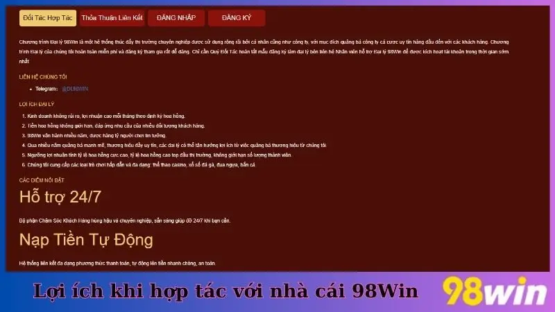 Lợi ích khi hợp tác với nhà cái 98Win